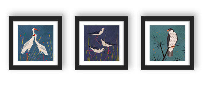 Wild Art - Avian Triptych