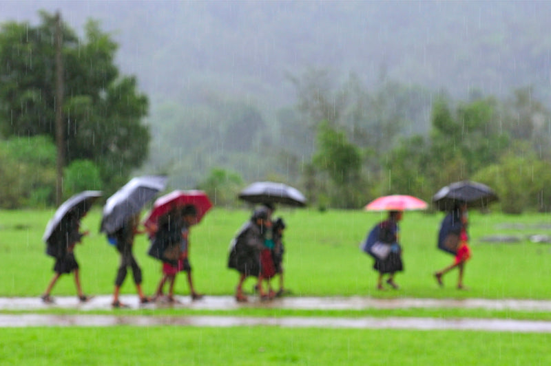 A School of Umbrellas