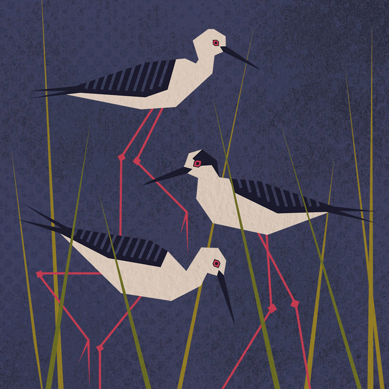 Wild Art - Avian Triptych