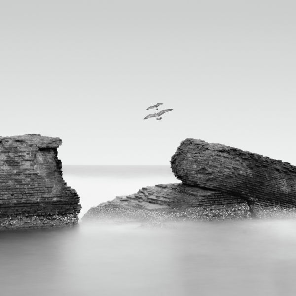 RUINS, SILENT WAVES AND GULLS