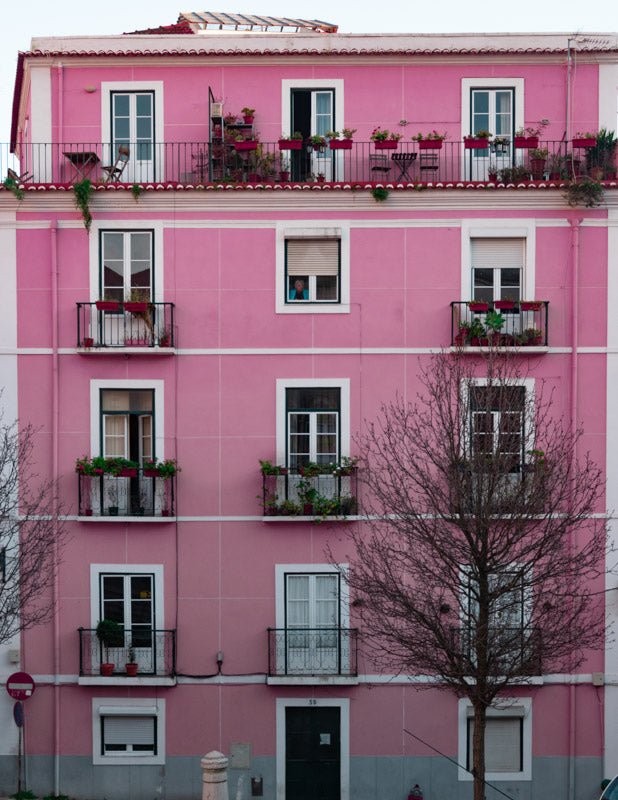Old Lady In the Pink House